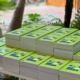 Fachbücher auf einem Tisch mit grünem Cover. Der Titel lautet "So gelingt Deutschlands Zukunft".